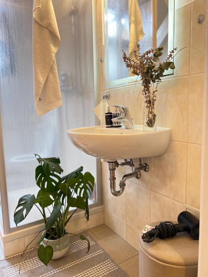 Boutique Appartement Торгау Екстер'єр фото